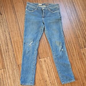 Pilcro Jeans Size 28 Tall Slim Boyfriend